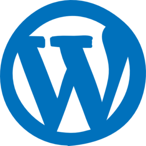 wordpress site 300x300 - طراحی و پیاده سازی وب سایت